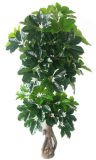 0651-2014 Hot Sell Factory Priceartificial Money Tree Plant Wholesale