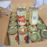 High Quality Canned Tomato Paste with Competitive Price