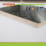18mm Brown Film Faced Plywood for Construction Plywood