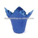 Beautiful Metallic Shiny BOPP Pot Cover for Flower/Plant Wrapping, Packaging, Fastwraps