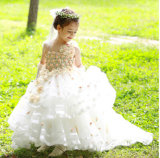 The New 2015 Children's Wear Fashion Lace Evening Dress Girl