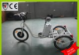 European Style 250W 350W Delivery Electric Trike Electric Tricycle
