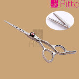 Sharp Hair Scissors, Hairdresing Scissors (RS2038)