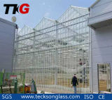 Low-Iron Clear Float Glass for Building Glass
