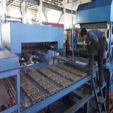 Paper Pulp Moulding Machinery