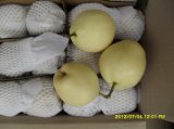 New Fresh Su Pear 2012