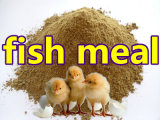 Fish Meal with Competitive Price for Feed 65% 72%