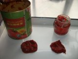2015 New Crop Canned Tomato Paste China Supplier