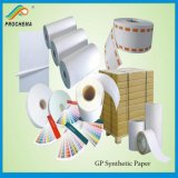 Prochema PP Synthetic Paper Gp80 for Labels
