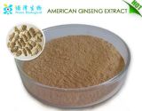 100% Natural High Quality American Ginseng Extract Powder