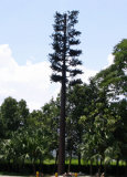 Pine Tree Tower