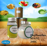 High Quality Agro-Chemical Products of Oxyfluorfen