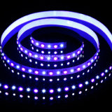 LED Epistar 5060 and 2835 RGBW Strip LED Light