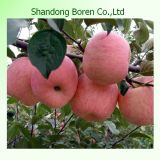 Buy Apples Wholesale From China