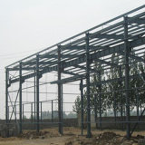 Metal Construction Steel Building