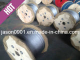 Ss304/Ss316 Stainless Steel Wire Rope, Wire Rope