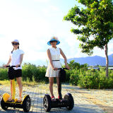 New Specialized Electric Vehicles with Self Balancing CE Certification