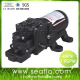 Electric Diaphragm Pump Seaflo 1.0gpm 40psi 12V Small Agriculture Machinery Equipment