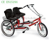 48V/20ah LiFePO4 Battery Double Seat Tricycle (SL-018)