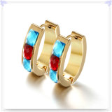 Fashion Jewelry Stainless Steel Jewellery Earring (EE0102)