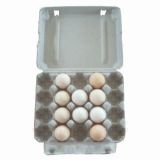 20lb-Egg Carton