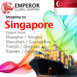 Cargo Ship From Tianjin, Qingdao, Dalian, Xiamen to Singapore