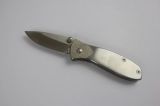 Stainless Steel Folding Knife (SE-1021)