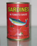 Canned Sardines In Tomato Souce (CSTS01)