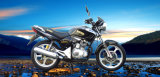 Street Motorcycle (Tiger200)