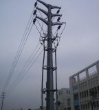 Steel Monopole Tower (NTSMT-003)