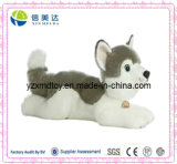 Stuffed Cute Husky Plush Dog Toy