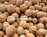 2014 New Crop Chinese Walnut & Walnut Kewrnels