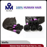 Lady Human Hair Weft Remy Human Hair
