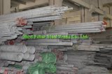 Top Quality 201 202 Deformed Steel Pipe in Cheap Price