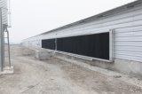 Steel Frame Prefabricated Poultry House
