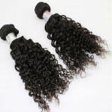 Kinky Curly Hair Extension Brazilian Remy Hair Natural Virgin Hair