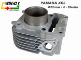 Ww-99192 Xcl100 Motorcycle Cylinder Block, Motorcycle Engine Part