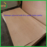 Bintangor Plywood with 4.5mm for Philippines Market