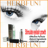 OEM Private Label Herbfun Maxlash-Eyelash Growth (solution for external application)