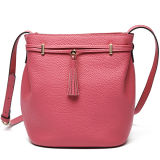 Hot Selling Fashion Lady Bag Designer Bucket Ladies Handbags (S997-A3759)