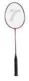 Badminton (iron-alloy)