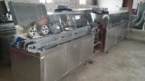 Ampoule/Vial Printer, Pharmaceutical Machinery