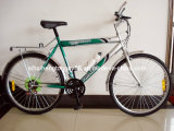 Multi-Speed Mountain Bicycle for Hot Sale (SH-MTB031)