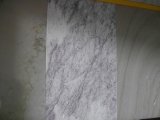 White Marble with Purple, Marble