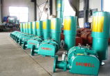 Competitive Price Ventilation Roots Blower (Rotary BLOWER)