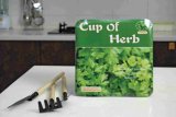 6.5 Inch Plastic Herb Planting Pot (904006) 