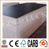 Qingdao Gold Luck Precast Facade Construction Film Faced Plywood (QDGL150116)