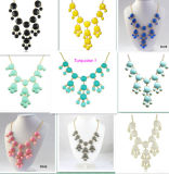 Fashion Beautiful Resin Necklace Jewelry (XL5401)
