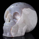 Agate Carved Human Skull Carving Decoration (0V70)