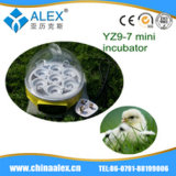 Full Automatic Mini Incubator/Hatcher/Cheap Egg Incubator for Sale Mini Egg Incubator Jn12 with High Quanlity Yz9-7